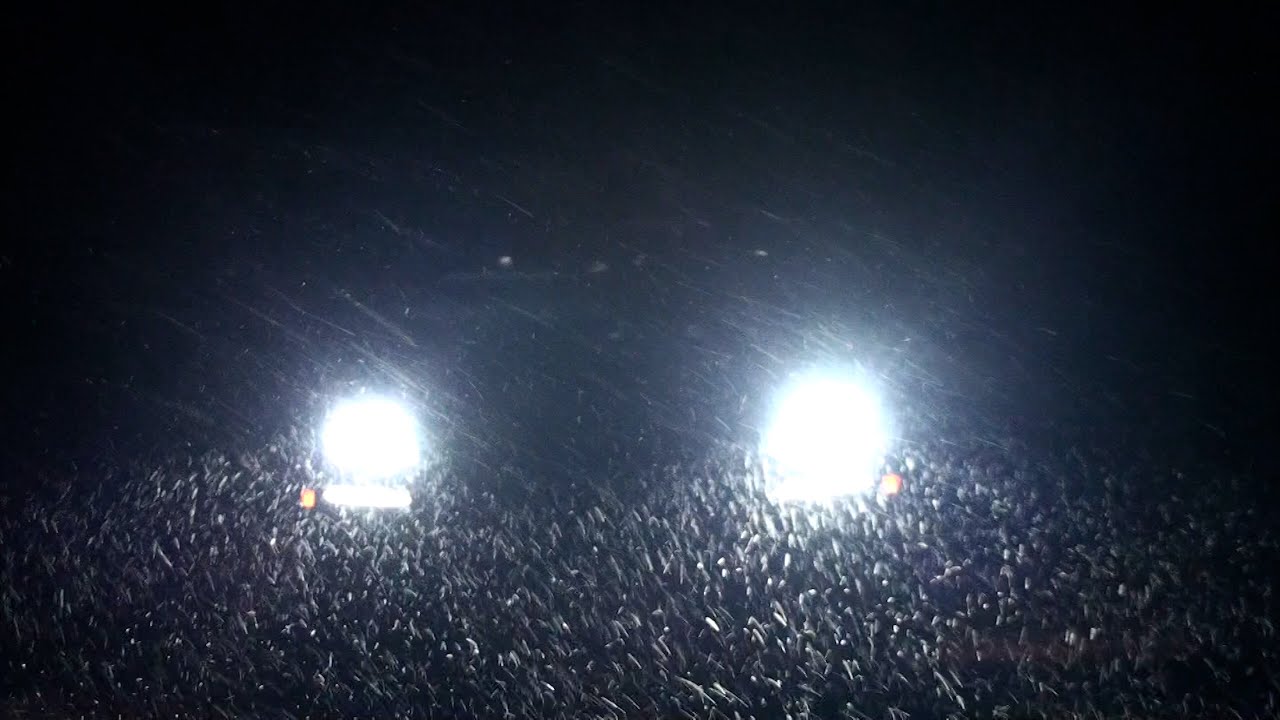 Twentythree - Stay Awake