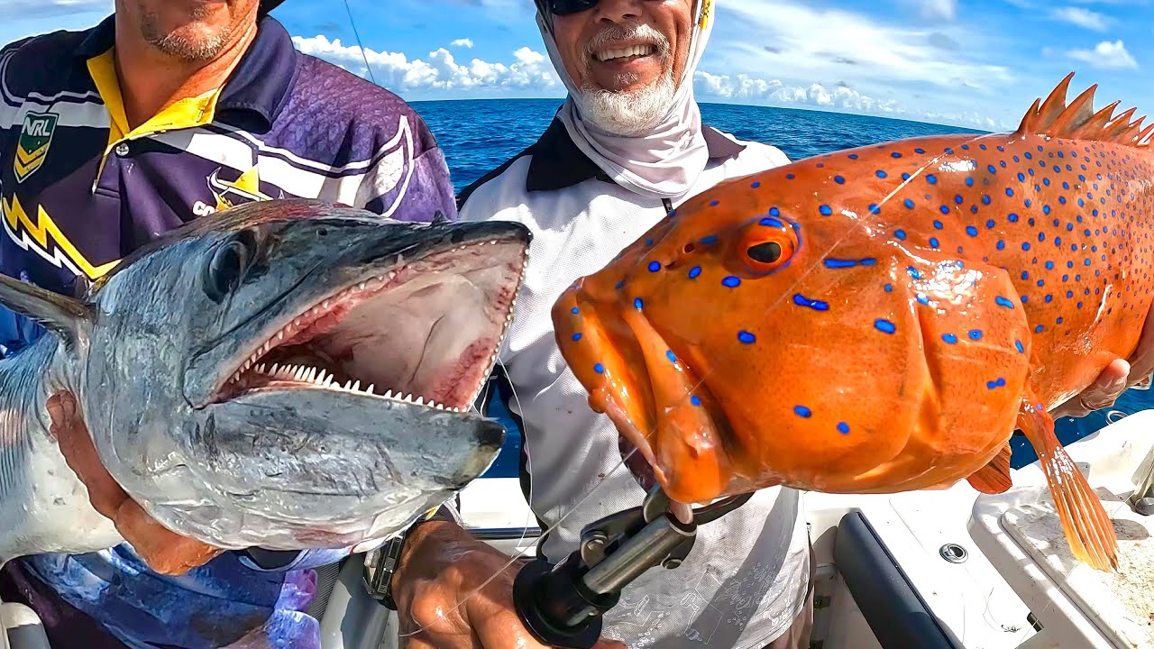 BIG SPANISH MACKEREL AND CORAL TROUT - Excellent Reef Fishing Variety off Bundaberg