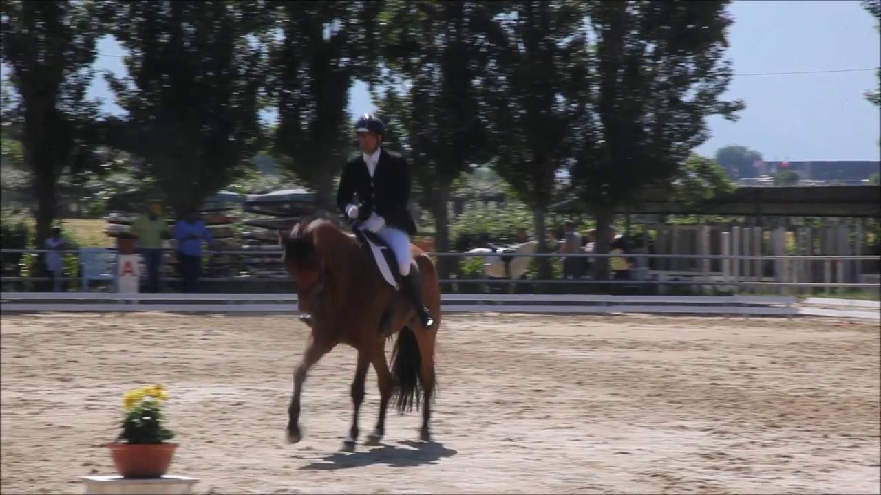 Antonio Brancaleone - Federball Dressage F 400