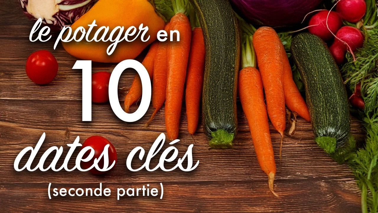 Semis et plantations : le potager en 10 dates clefs épisode 2.