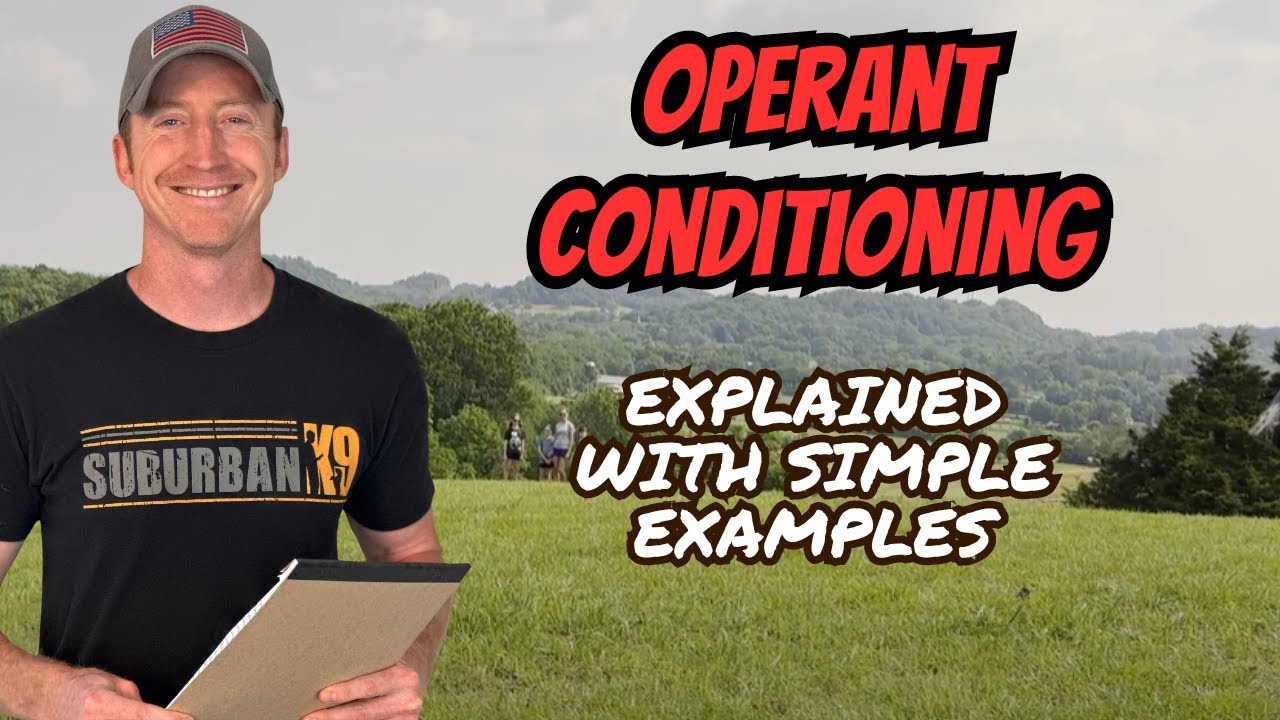 Operant Conditioning In Dog Training: Explained With EXAMPLES!