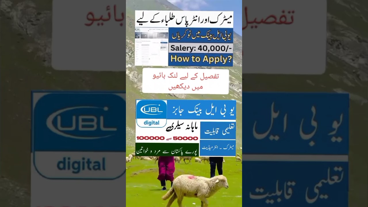UBL Bank Jobs 2025| New Jobs in Pakistan  #subnewjobs #allpakjobs #pakistanjobs #jobopenings #job