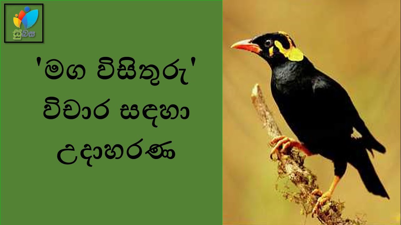 Sinhala Grade 11 - Maga Visithuru | මග විසිතුරු