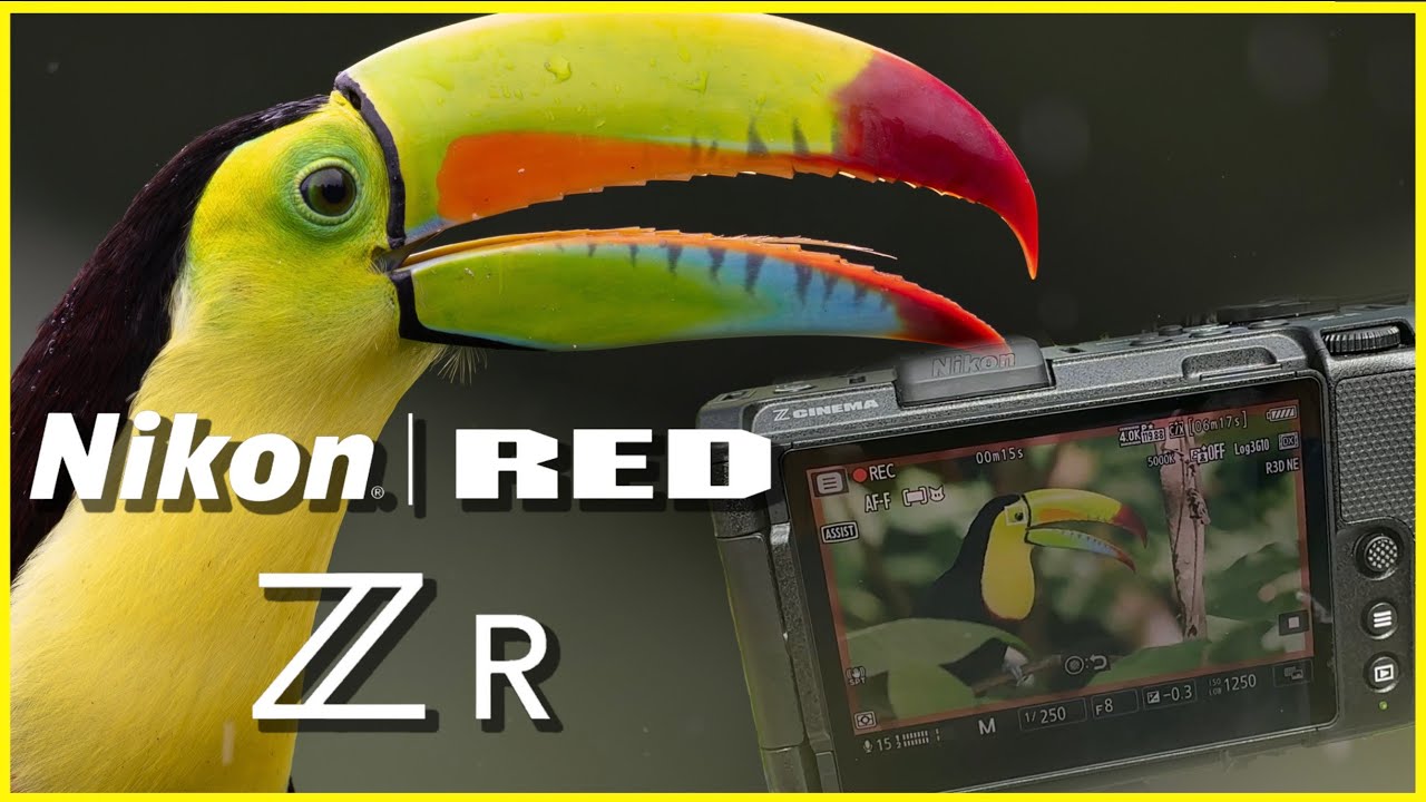 NIKON - RED  ZR - First Look - Wildlife in Costa Rica in R3D