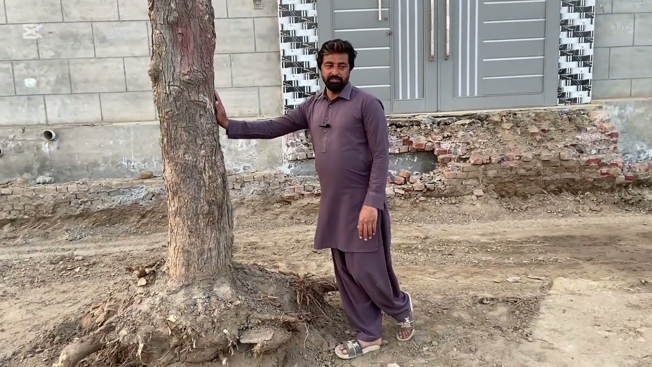 Village life style | Mera Sona pind 