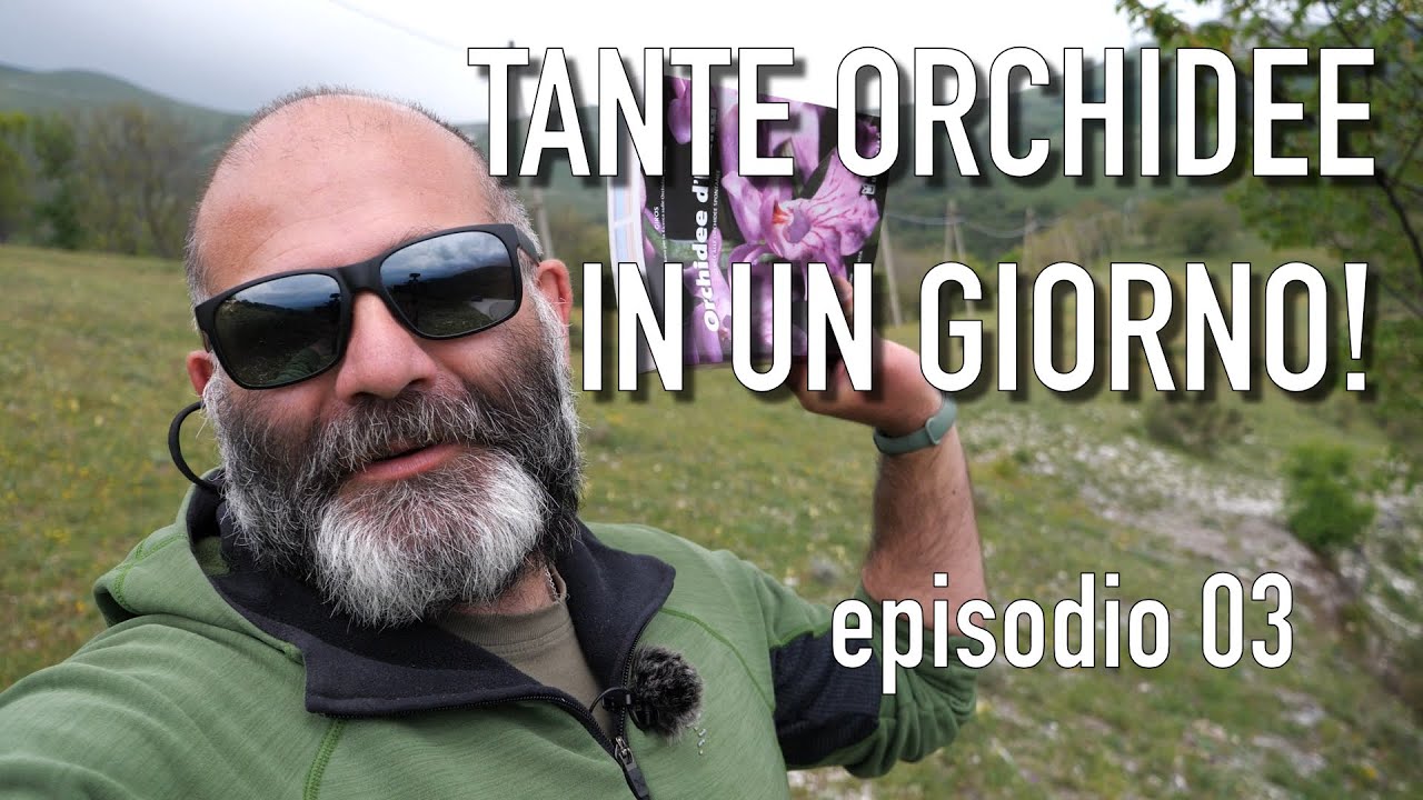 Giornata piena nella RICERCA DI ORCHIDEE SPONTANEE!