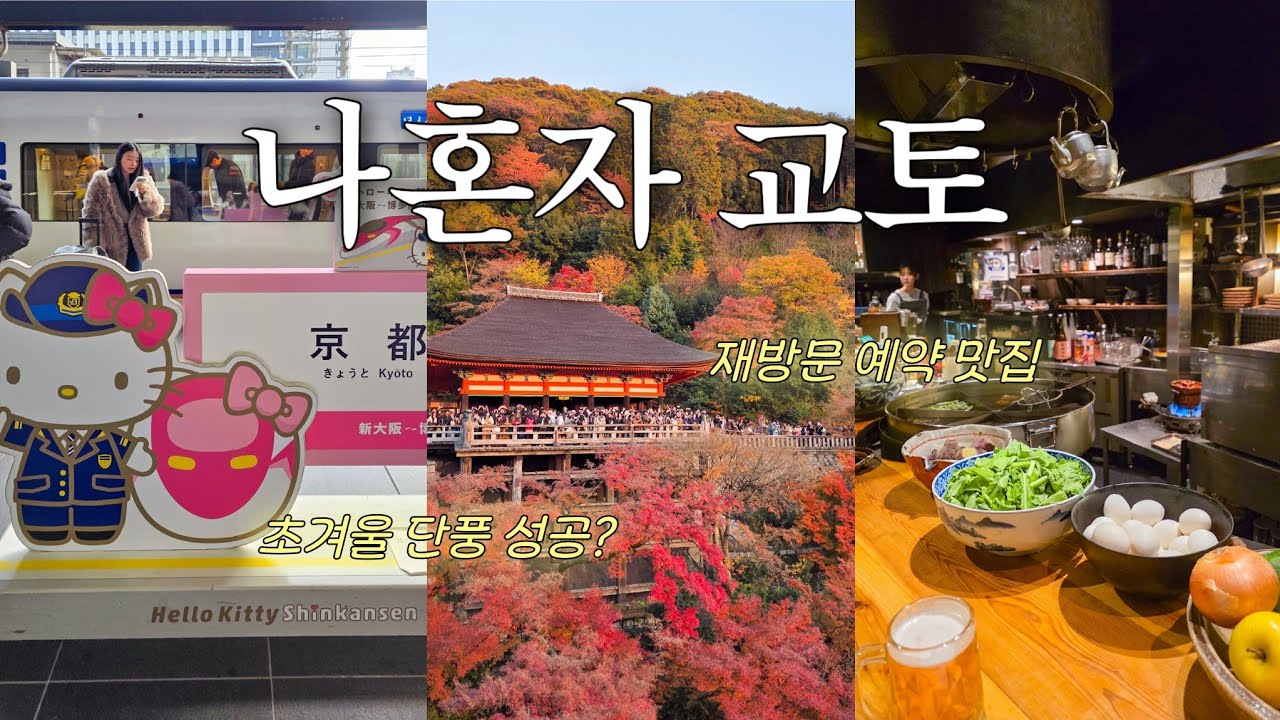 나 혼자 교토 여행 3박 4일 ❤️ 신생 항공사 파라타항공 오사카 후기부터 초겨울 단풍 현실 후기, 재방문 예약한 찐 맛집까지 알찬 EP1