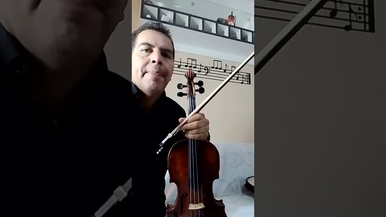 Guadalajara, violín garibaldi