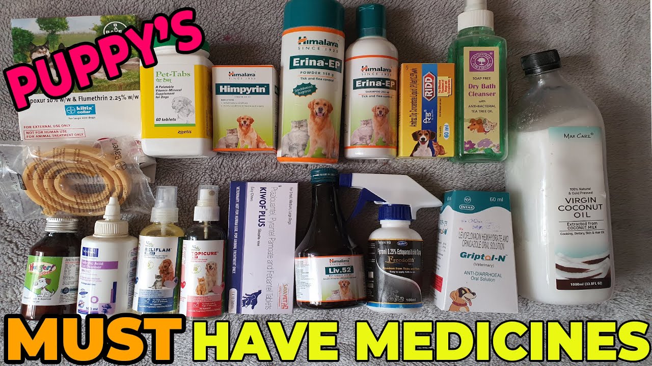Puppy's medicines everyone should keep, to avoid any trouble | Most important puppy medicines....