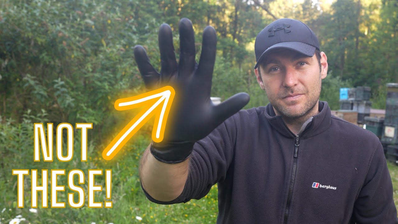 What Is The Best Disposable Beekeeping Glove?