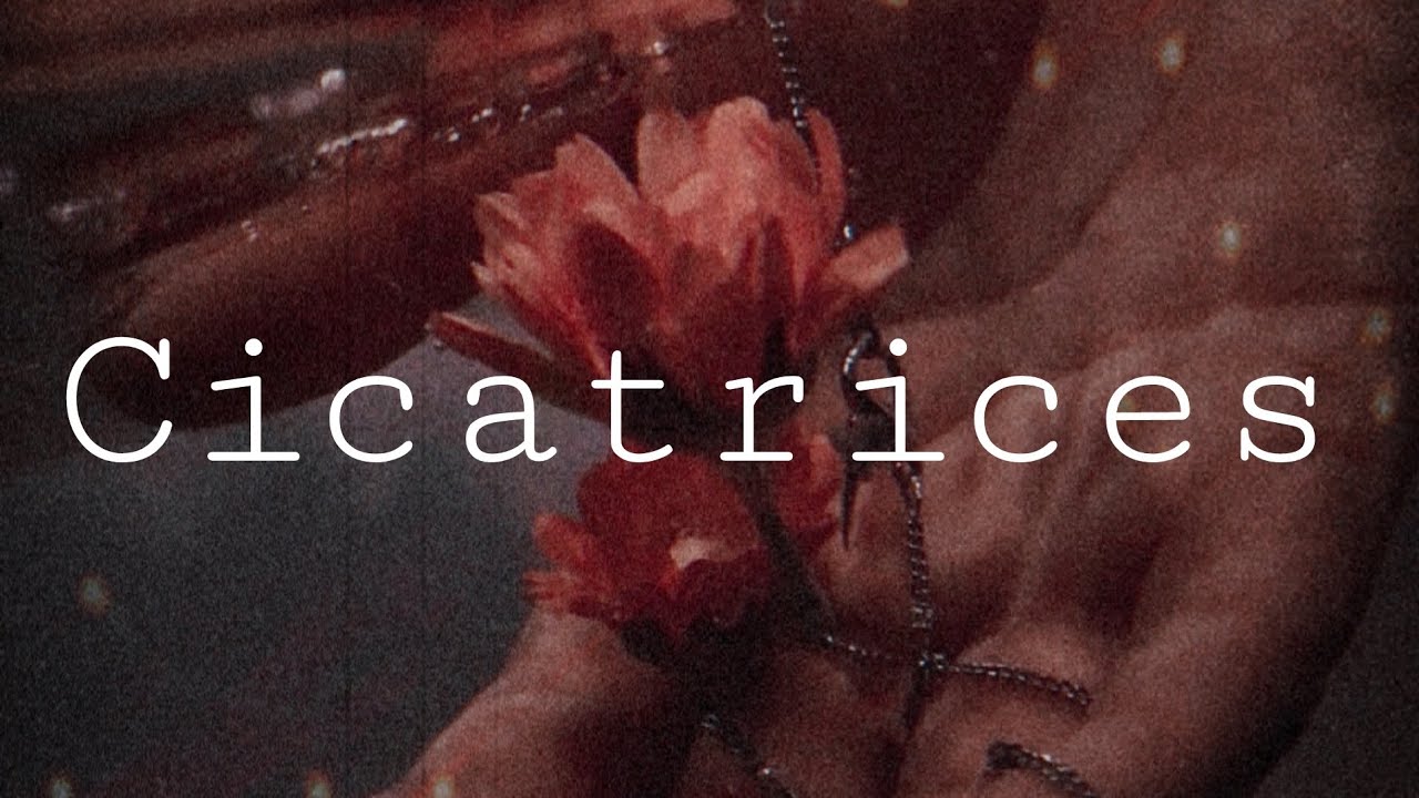 Cicatrices - Missheru