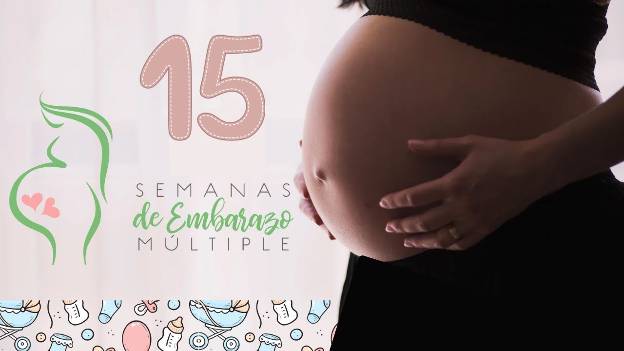 Semana 15 de embarazo gemelar