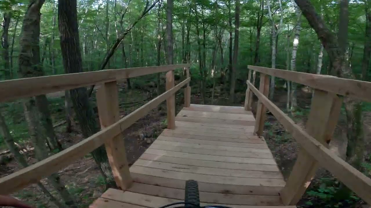 NEW BIKE DAY (Ringle Trails, WI) (Specialized Status 140)