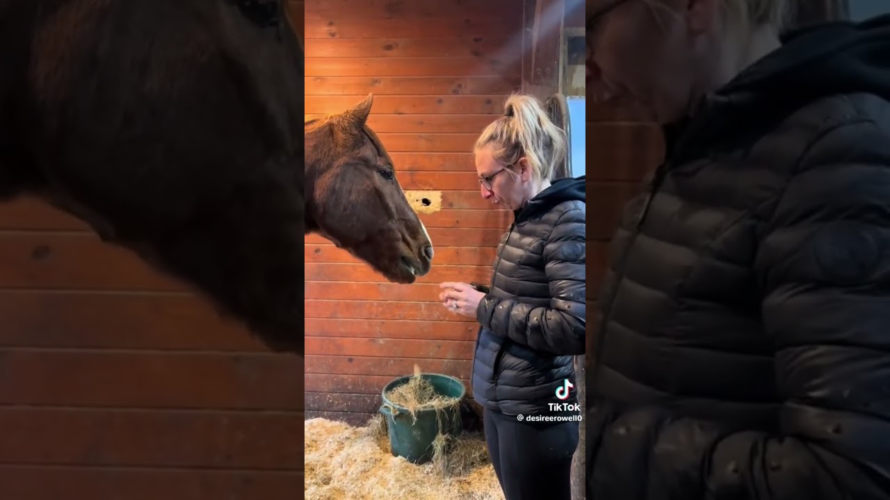 Equestrian TikTok #20