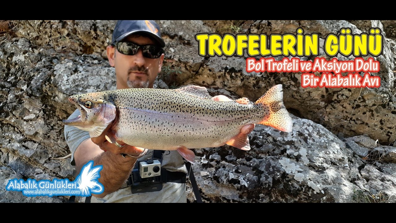 Yok Böyle Bir Alabalık Avı 🐟 Trofeler ile Dolu Baştan Sona Aksiyon 🎣 Alabalık Avı Teknikleri