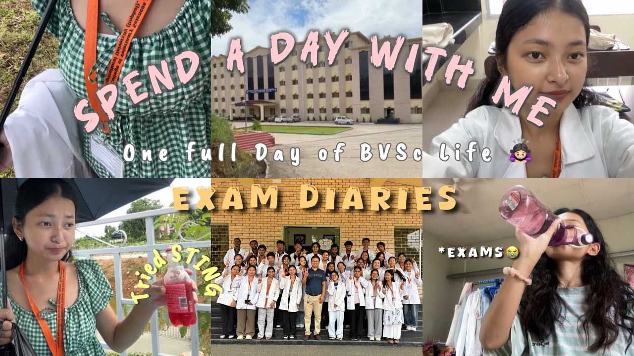 Sunrise to midnight: Spend A Day With Me 🙇🏻‍♀️| Exam Diaries 📚~ life as a Vet Student🩺 🐾📍Nagaland