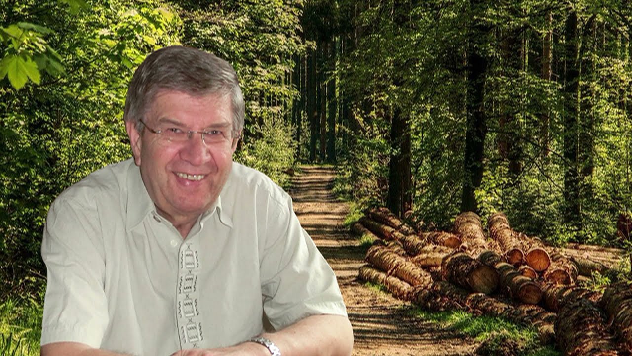 Bosl Hans  -  Der alte Holzknecht
