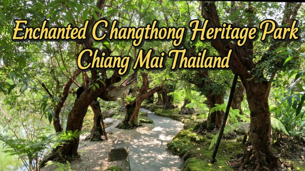 ASMR | Ancient Tree Sanctuary 🌿 Healing Nature Sounds of Chiang Mai (No Music, No Talking)