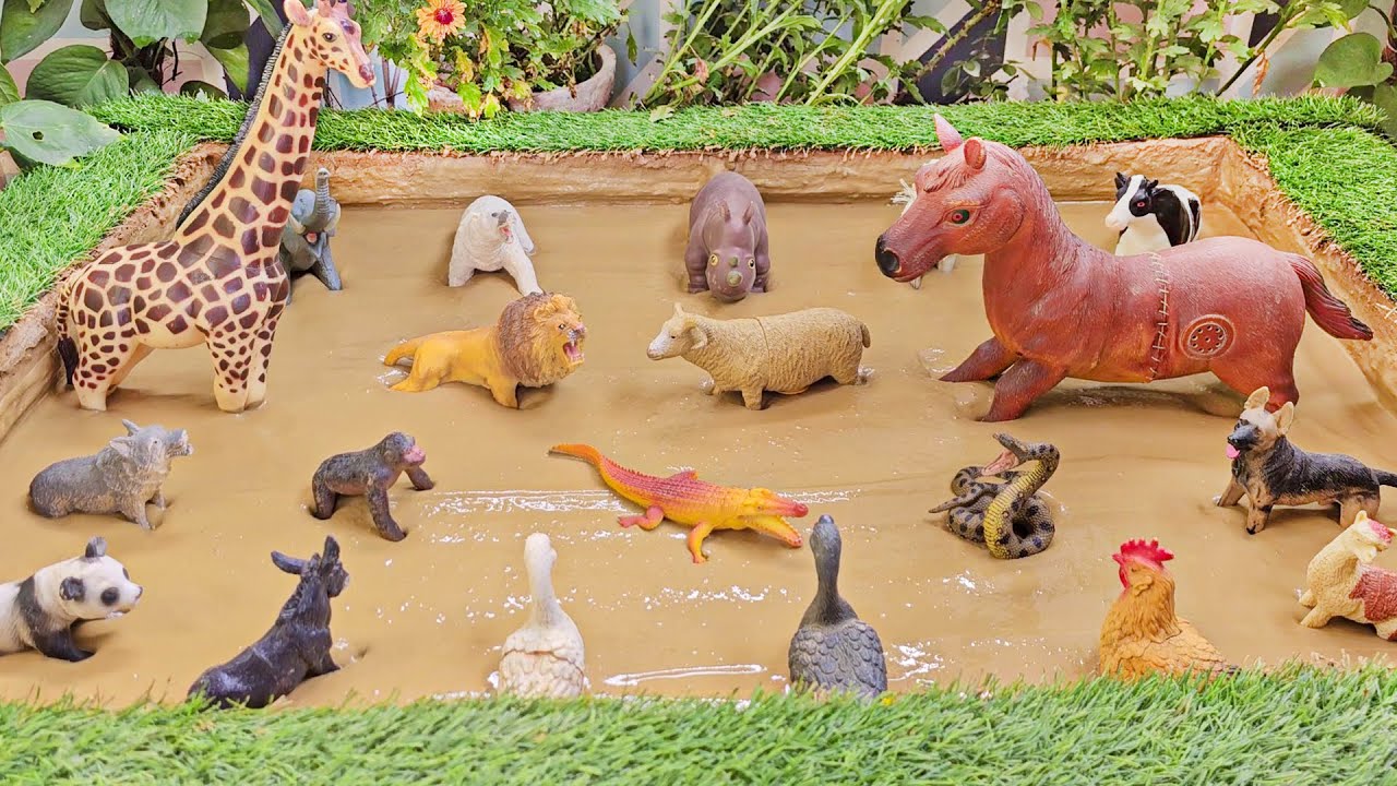 Farm Pet Animals and Forest Zoo Animals Stuck in Mud | Discover Fun for Toddlers