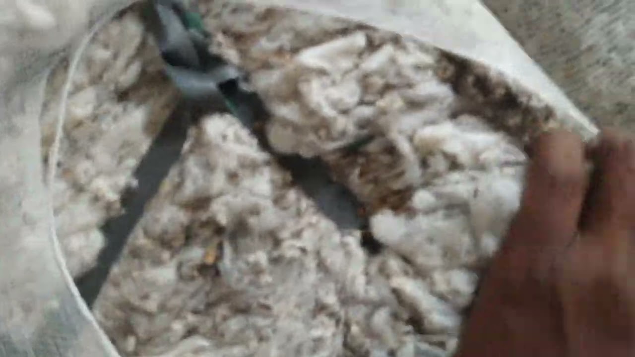 DROPPING waste #wastecotton#cotton #spinning #smtraders