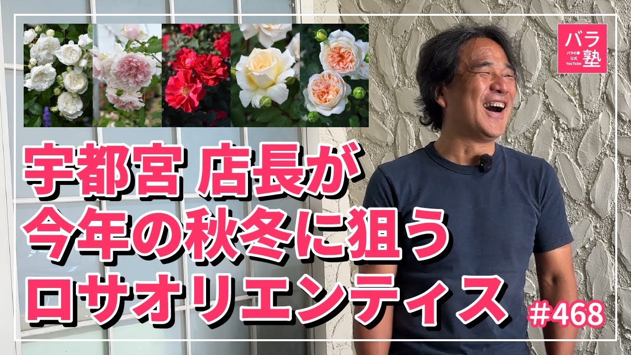 #468 宇都宮店長が今年の秋冬に狙うロサオリエンティス