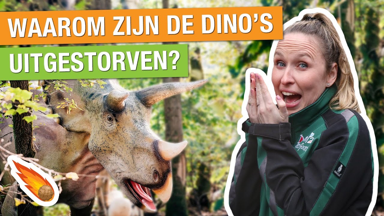 ACHTER DE SCHERMEN BIJ HET DINOBOS + HOE ZIJN DE DINO’S UITGESTORVEN? 🦕 | Carlijns Dierenvraag #44