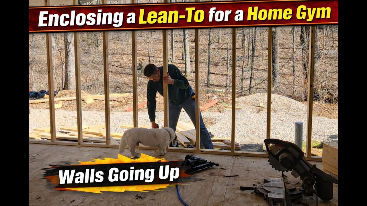 Enclosing a Lean-To for a Home GYM - Ep. 4 | Walls Going UP!