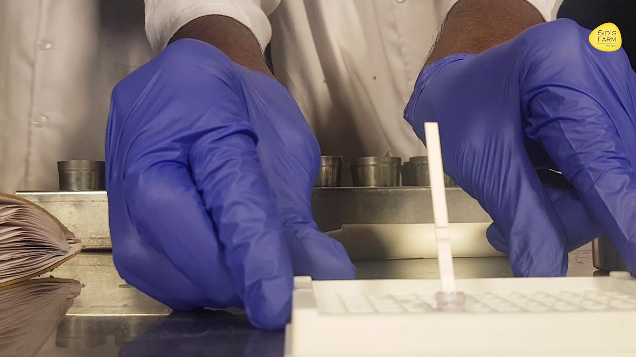 ANTIBIOTIC TEST FOR MILK