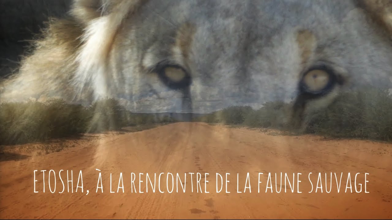 s01e03-NAMIBIE 