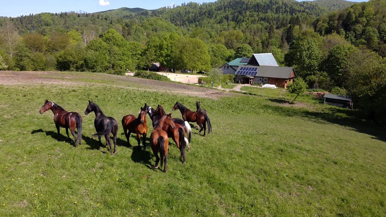 Żubracze, Bieszczady