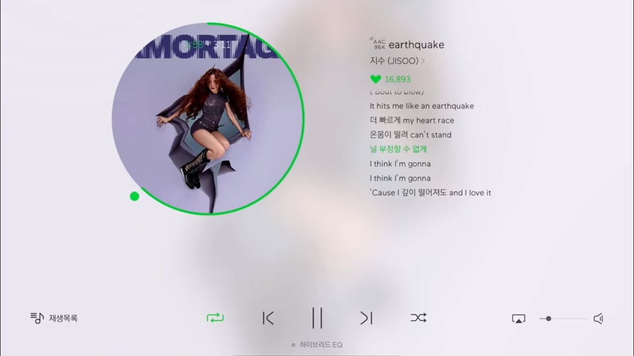 블랙핑크 솔로곡 노래모음ㅣBLACKPINK SOLO Playlisㅣ개인 솔로 노래모음 (지수 신곡 포함)