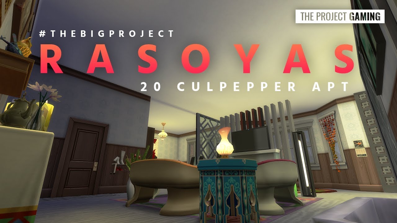 Renovating 20 Culpepper House | The Big Project