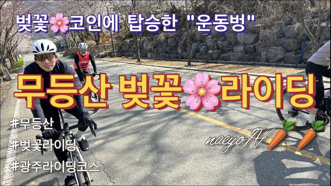 벚꽃코인에 탑승하는 무등산 벚꽃라이딩/광주 자전거 라이딩코스!  전남투어팀의 웃음코드 팔점사 홍주 굴욕의 날ㅠㅠ
