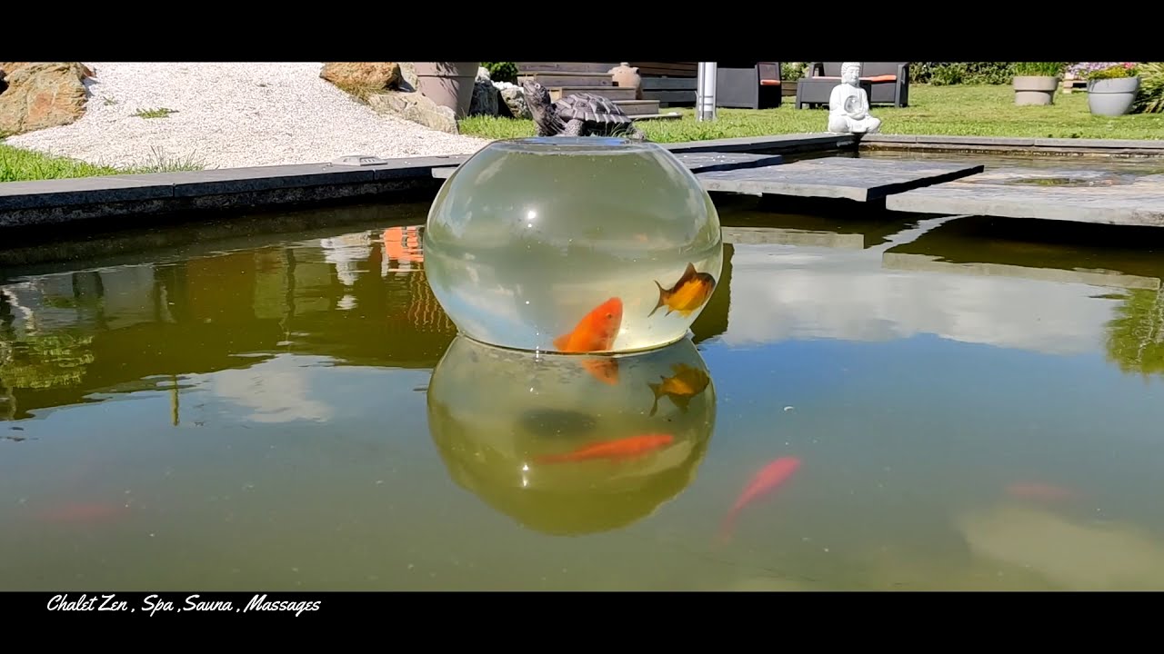 Camping Paradis Menez Bichen Pentrez - Finistère - Bretagne