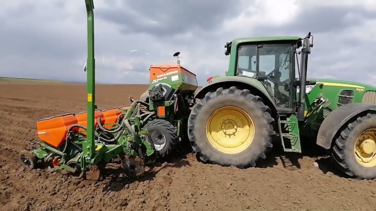 La semănat porumb cu John deer 6930 și Amazone ED6000-2c special