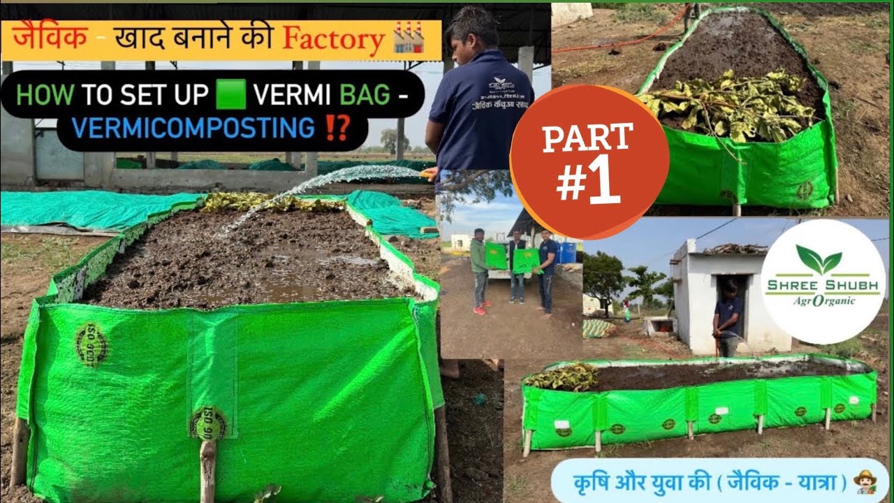 How To Set Up Vermi Bag ⁉️ | Part 01 👍🏻Vermicompost | जैविक खाद की Factory 😱 #viral #vermicompost