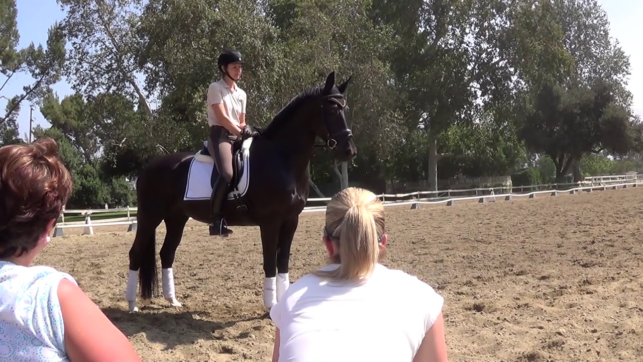 Sandy and Releve riding with Charlotte Dujardin day 2 part 2