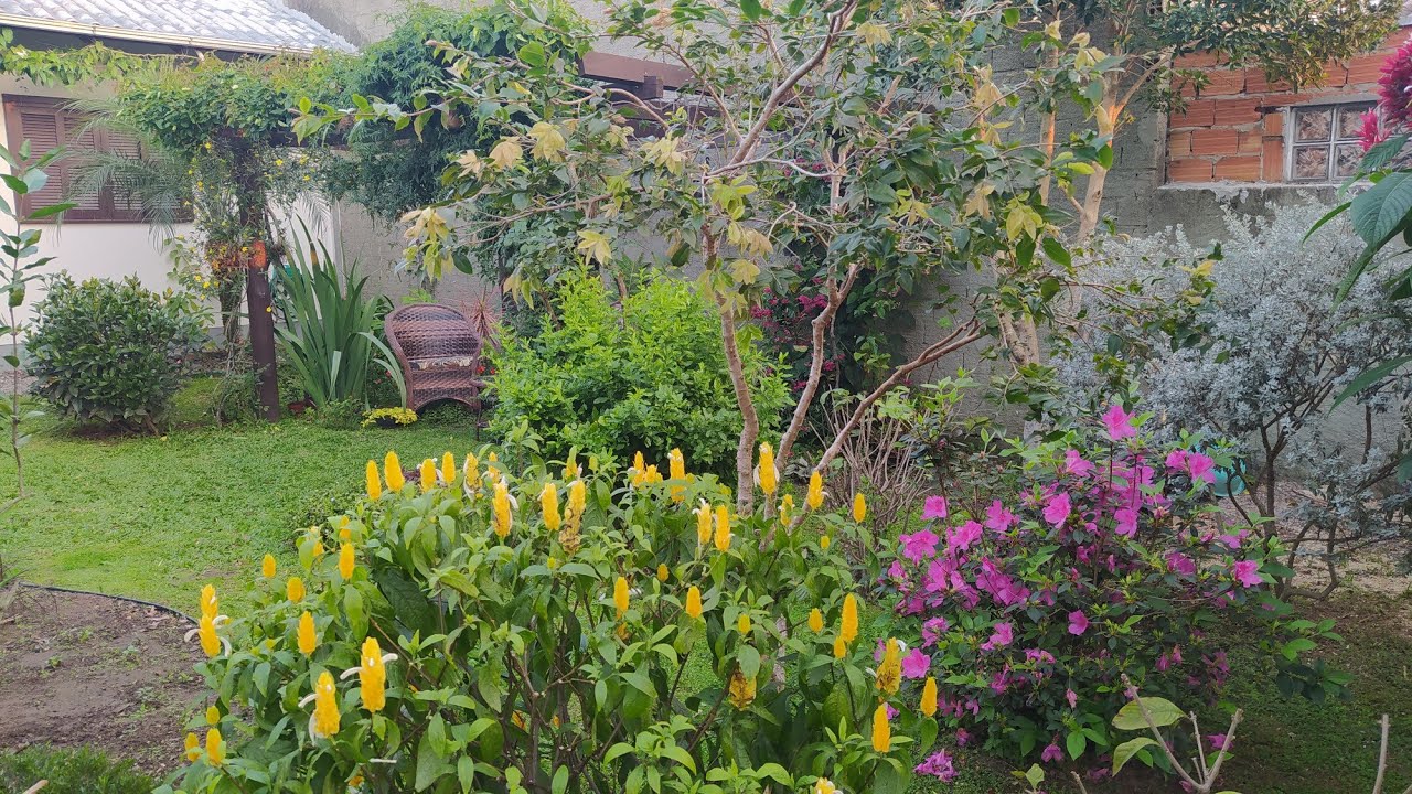 PODA PLANTAS DE FLORES ARBUSTOS E TREPADEIRAS