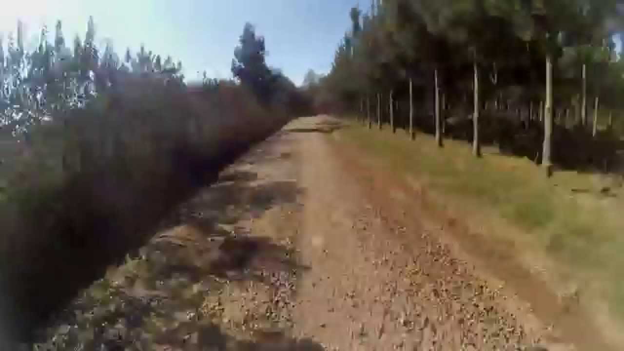 Paseo al campo, ida