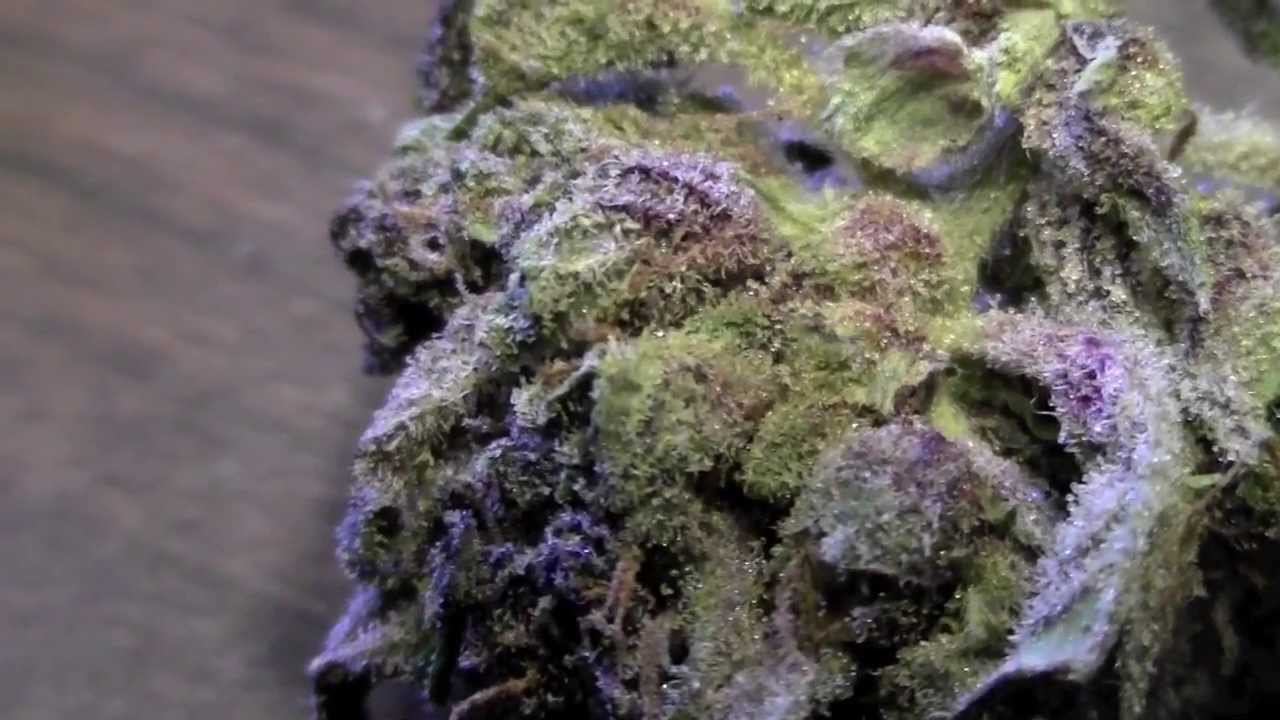 HD GRAPE APE Bong Rips (Part 8)