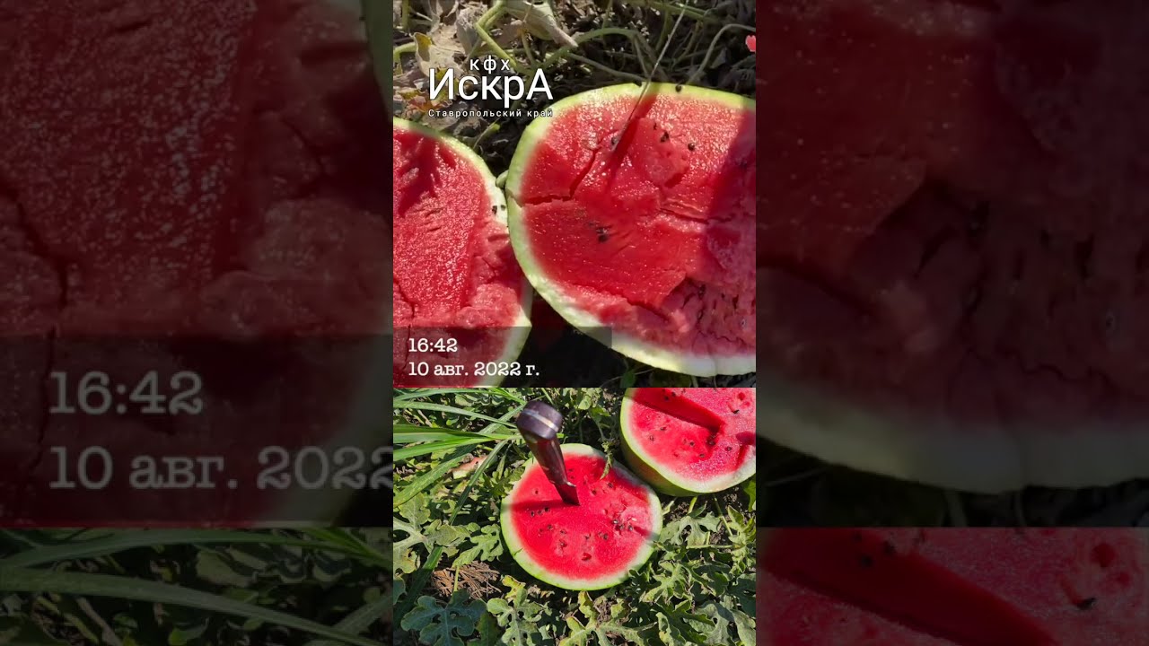 Подводные камни фермера.