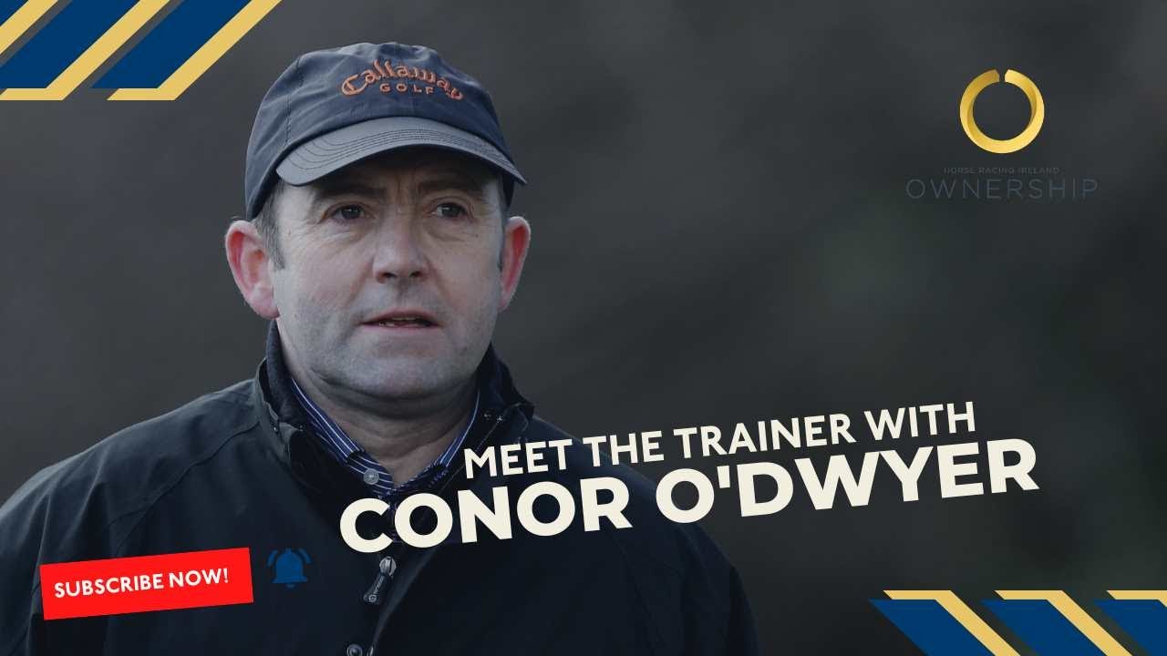 Conor O'Dwyer, Trainer