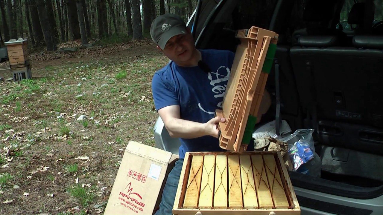 S04E03 - Apimaye Langstroth bottom board