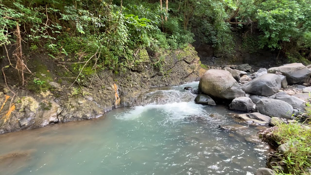 🌿 River Flowing Sounds for Fast Sleep | Stress Relief, Study Ambience & Calm Mind