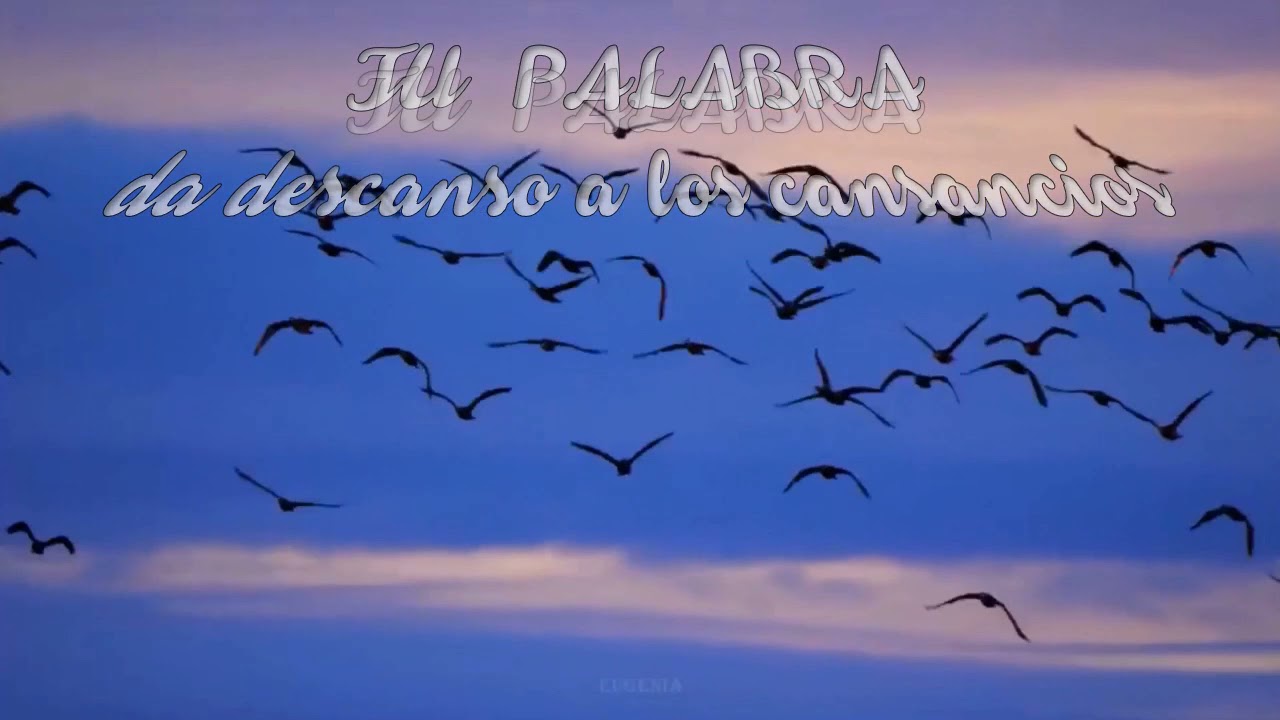 TU PALABRA. Salomé Arricibita