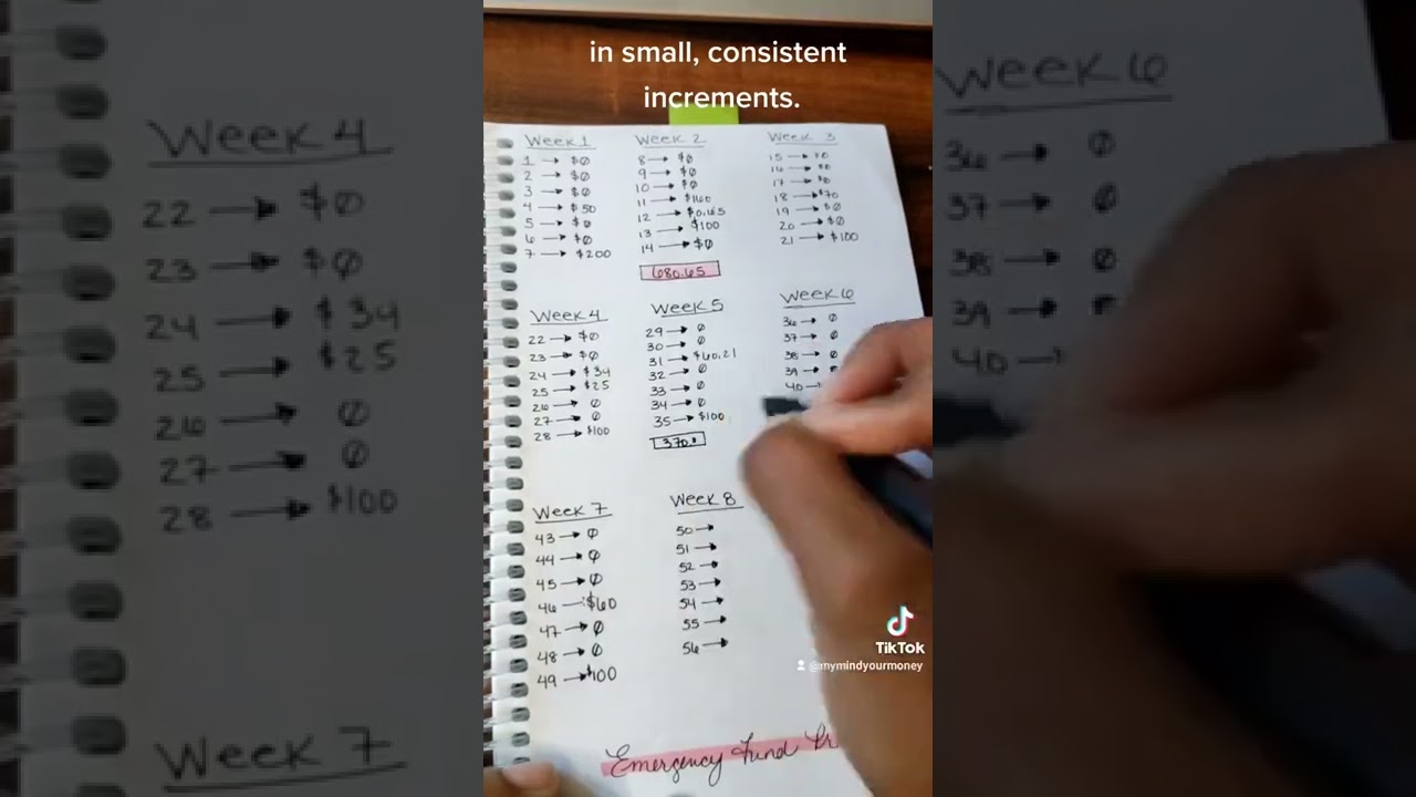 Как легко накопить средства на случай непредвиденных обстоятельств! (ДЛЯ НИЗКИХ ДОХОДОВ)