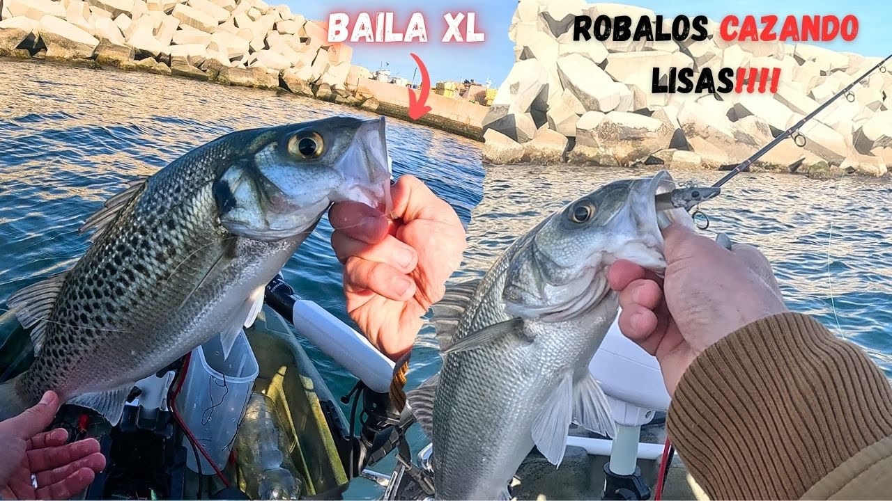 ❄️Pesca a spinning y vivo Estrecho de Gibraltar🔥🔥🔥