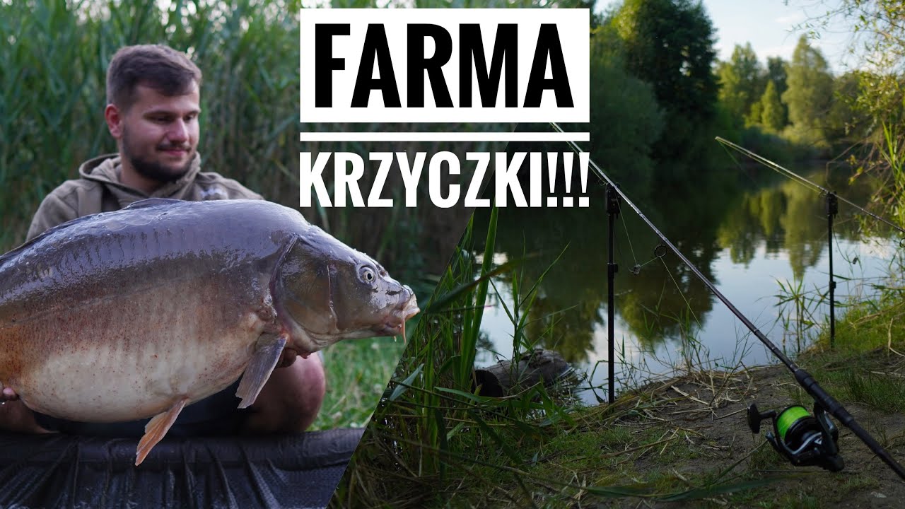 KARPIE W UPAŁY ZE ŻWIROWNI!!! - Łowisko Nosselia - Farma Krzyczki - Wędkarstwo Karpiowe