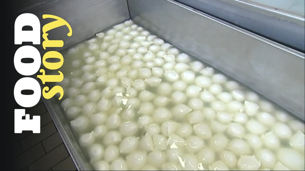 La Mozzarella di Buffala : le trésor caché de la Campanie