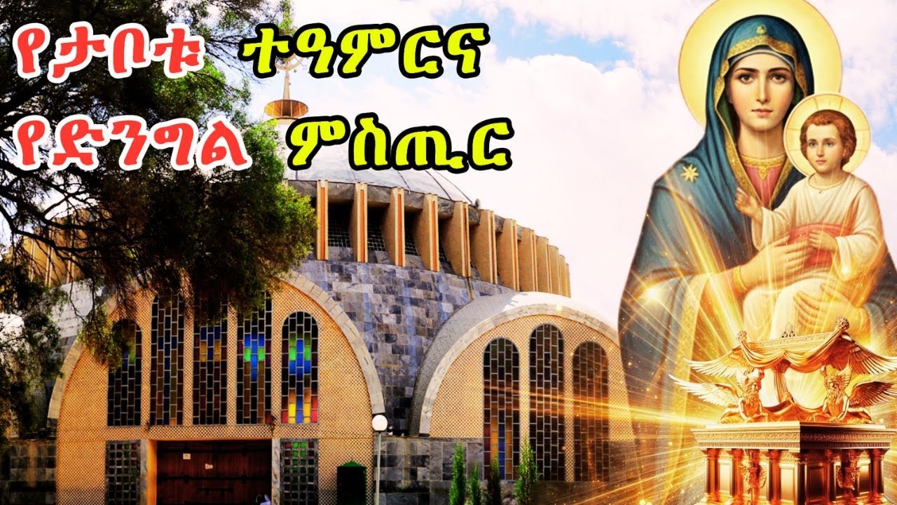 ኅዳር ጽዮን ለምን ይከበራል?  የድንግል ማርያምና የታቦተ ጽዮን ምስጢር| Hidar Tsion| አክሱም ጽዮን| Axum Tsion| ታቦተ ጽዮን